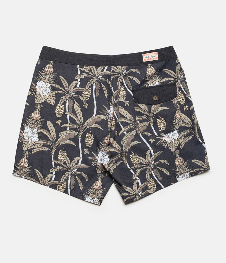 CLIMBING PALMS TRUNK VINTAGE BLACK