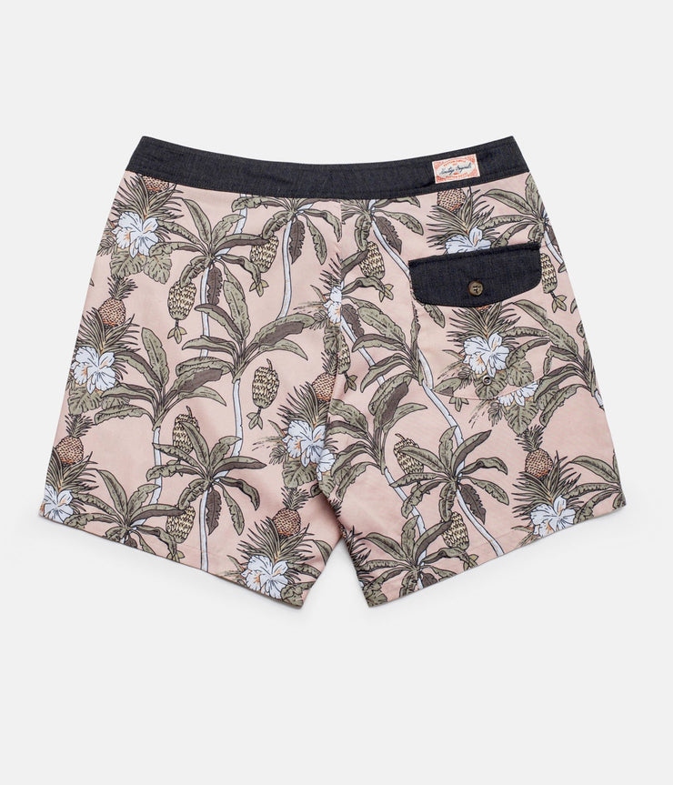 CLIMBING PALMS TRUNK SUN BLEACHED