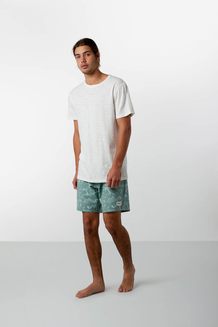 DESERT PALM TRUNK SEA FOAM