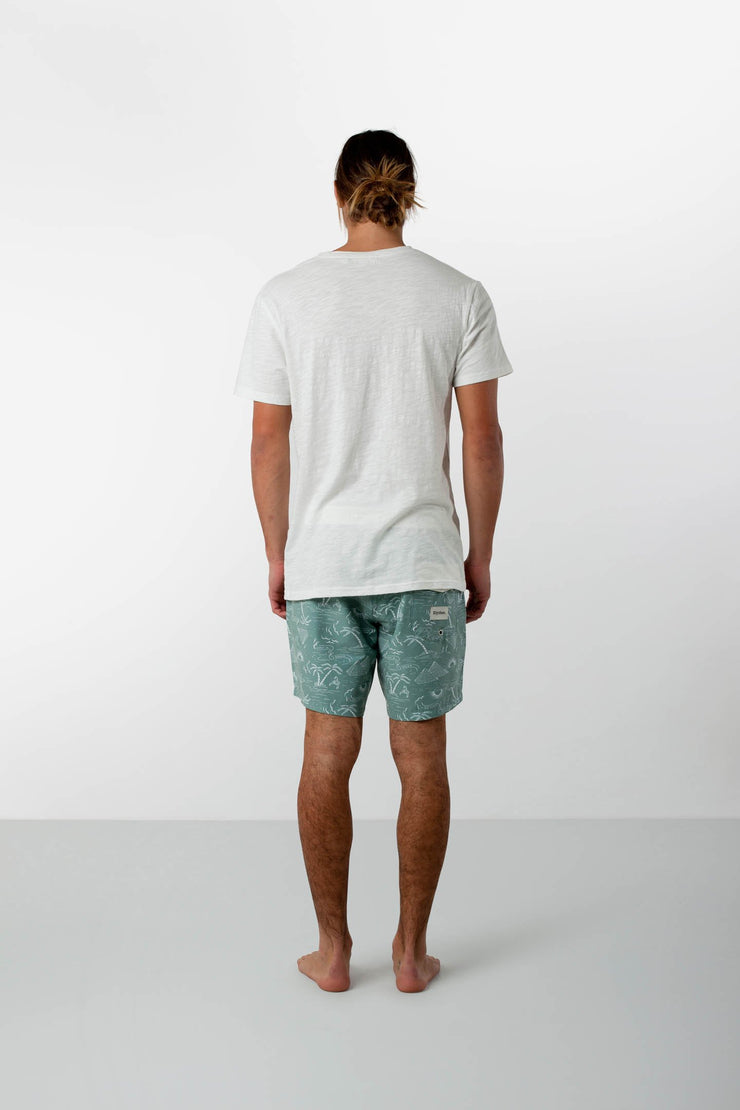 DESERT PALM TRUNK SEA FOAM