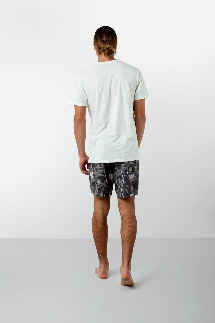 CLIMBING PALMS TRUNK VINTAGE BLACK