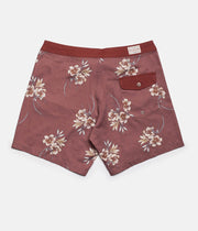 Rhythm Cantina Trunk Clay Back