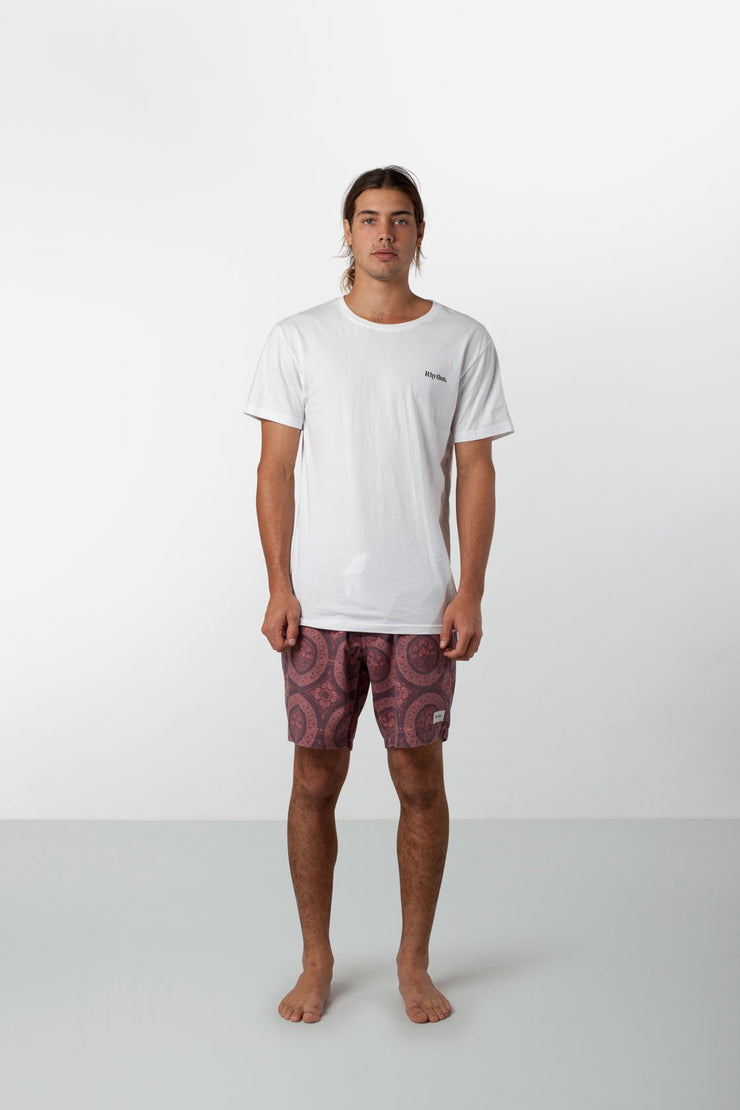 APARTMENT RUG TRUNK PORT